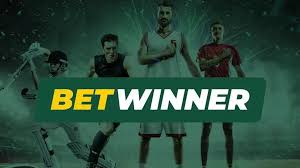 BetWinner Online Gambling Platform Your Ultimate Betting Destination